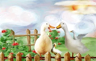 Márton napi meghívó borítóképe