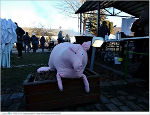 Fotók, Útirány.hu