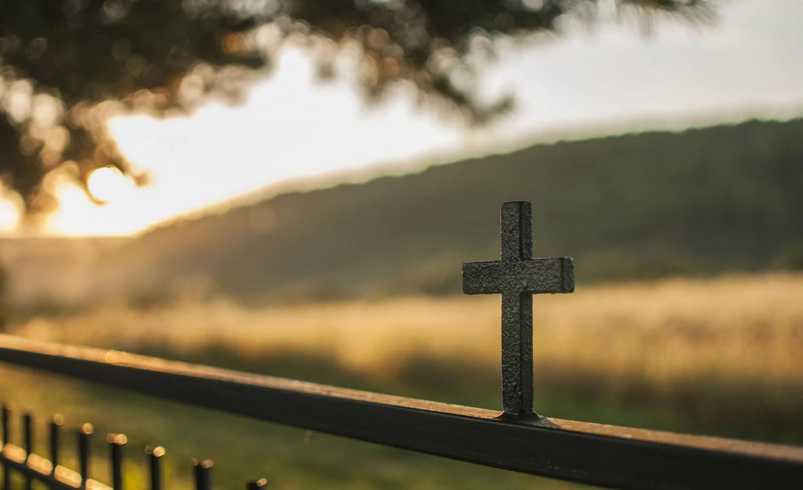 Fotó: Pesty Márton