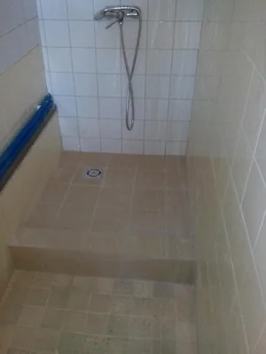 Megújulás képei 2017