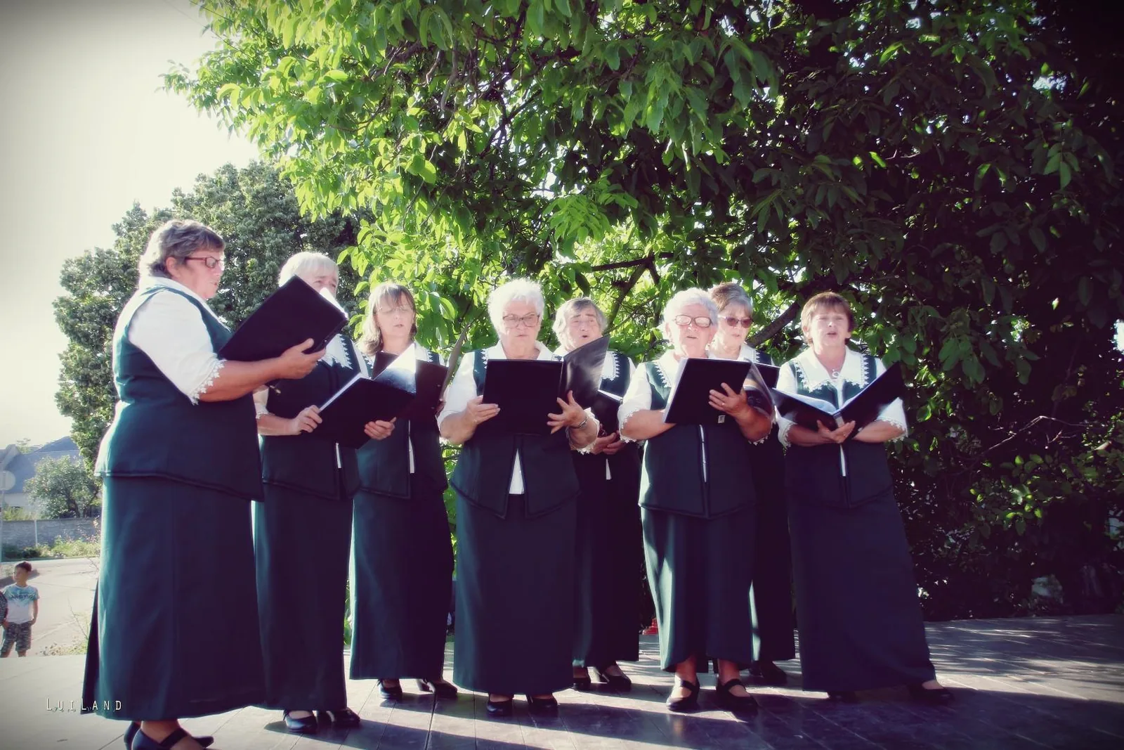 Falunap Fotó: LuiLand