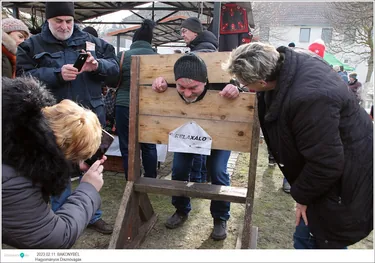 VIII. Bakonybéli Hagyományőrző Falusi Disznóvágás
