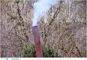 Pénzesgyőr, Falusi Disznóvágás 2025