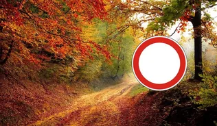 Erdőlátogatási korlátozás! borítóképe