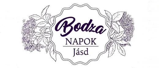 'Bodza Napok' cikk borítóképe