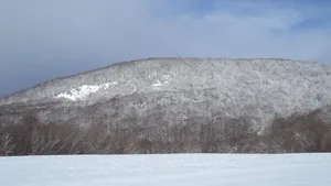 Téli Bakony, Fotók: Vilmos Weiszgerber 