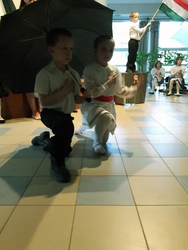 Ünnepi műsor és fáklyás felvonulás