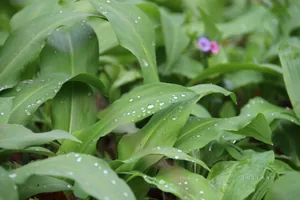 Fotók és kisfilm: Útirány.hu