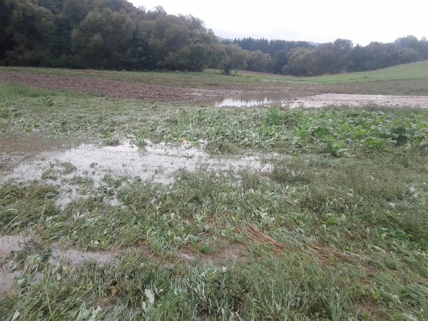 Gerence Pénzesgyőr 2018.09.04.