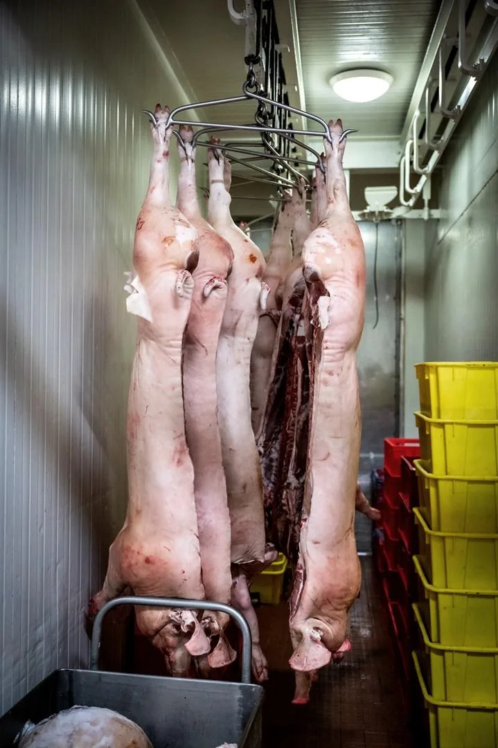 Képek: Horváth Dorottya