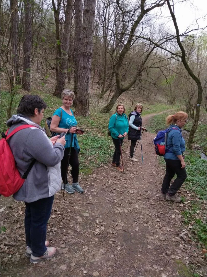 Fotók, Vadon Vándorai 