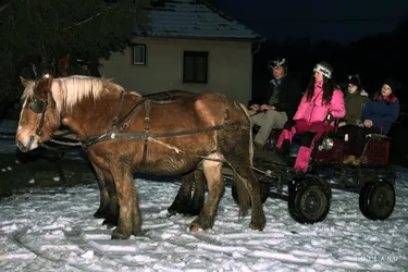 Farsangi Vigadalom a cseszneki Kisbükk majorban