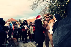 Szilveszteri futás 2018. / Fotók: Útirány.hu