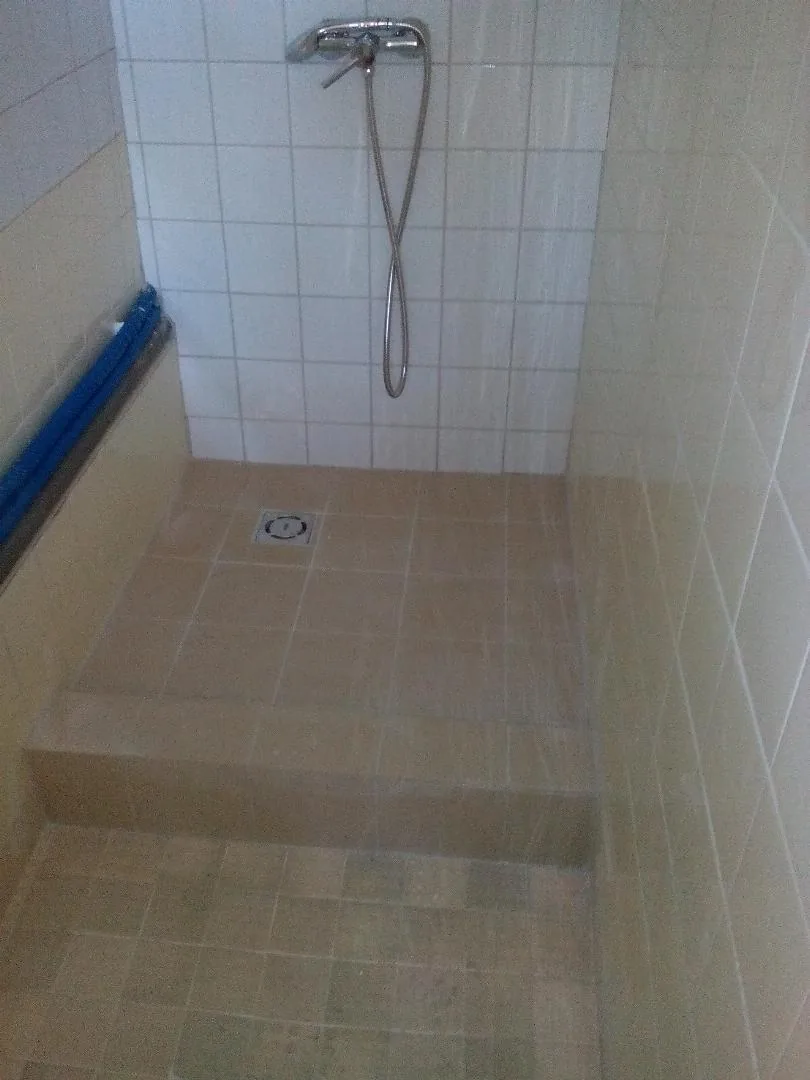 Megújulás képei 2017