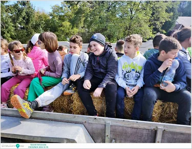 Szüreti felvonulás és Bál