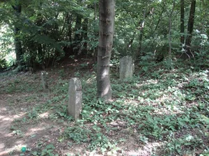 Fotók: 2015 Hegedűs László