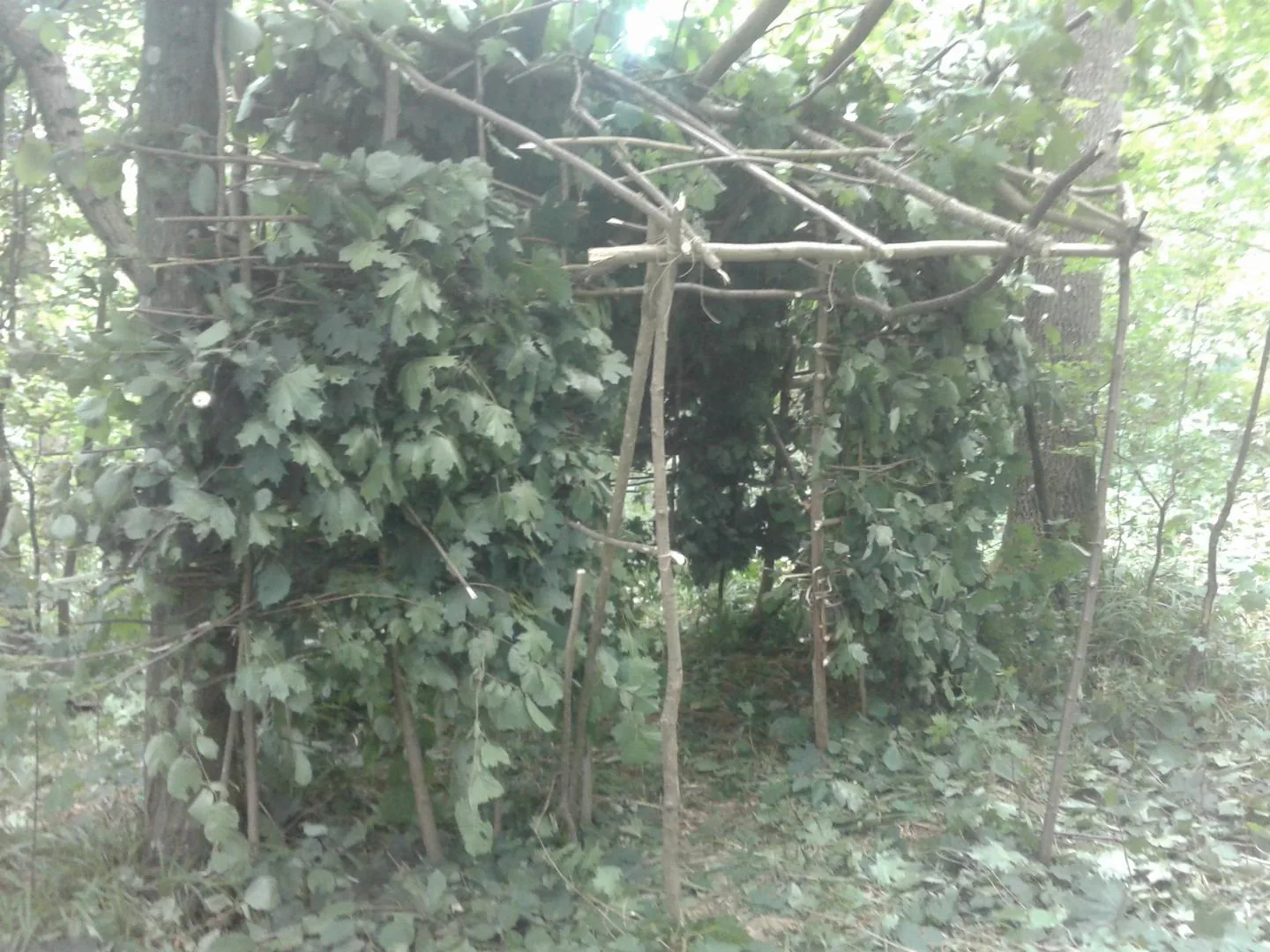 Napközis tábor képek 2018