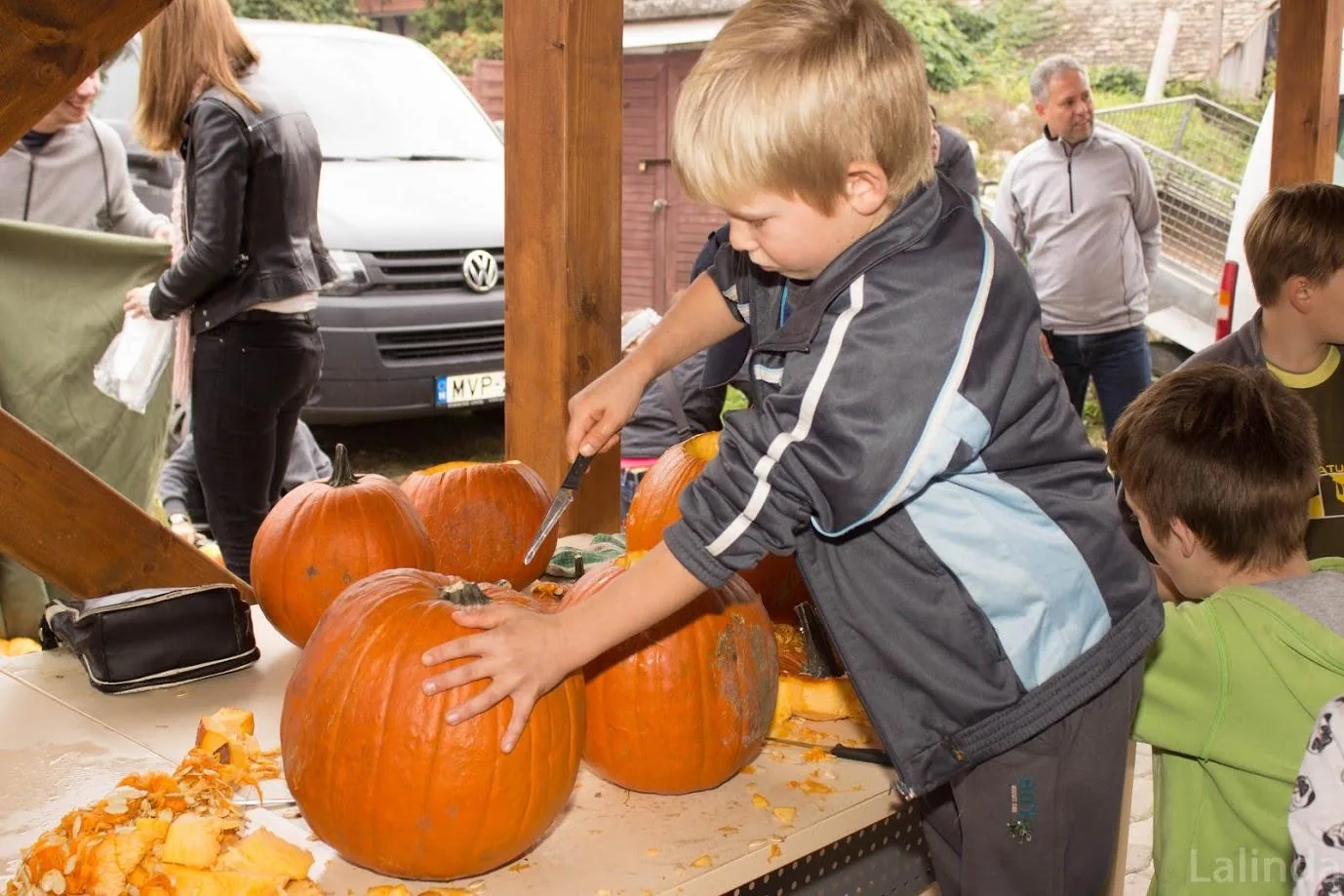 Fotók 1 album: Babai Lalinda