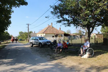 Szüreti felvonulás és utcabál