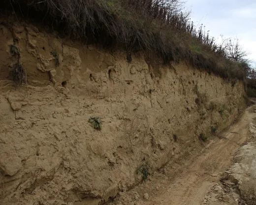 'Gyurgyalag fészkelőhely' cikk borítóképe
