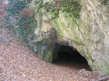 Képek videó 2013 Odvaskő-barlang