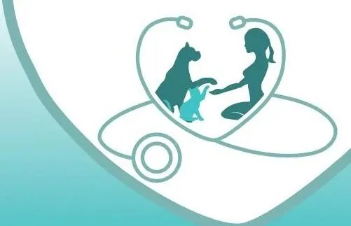 'Rendelő a Suttogó Állatorvoshoz' cikk borítóképe