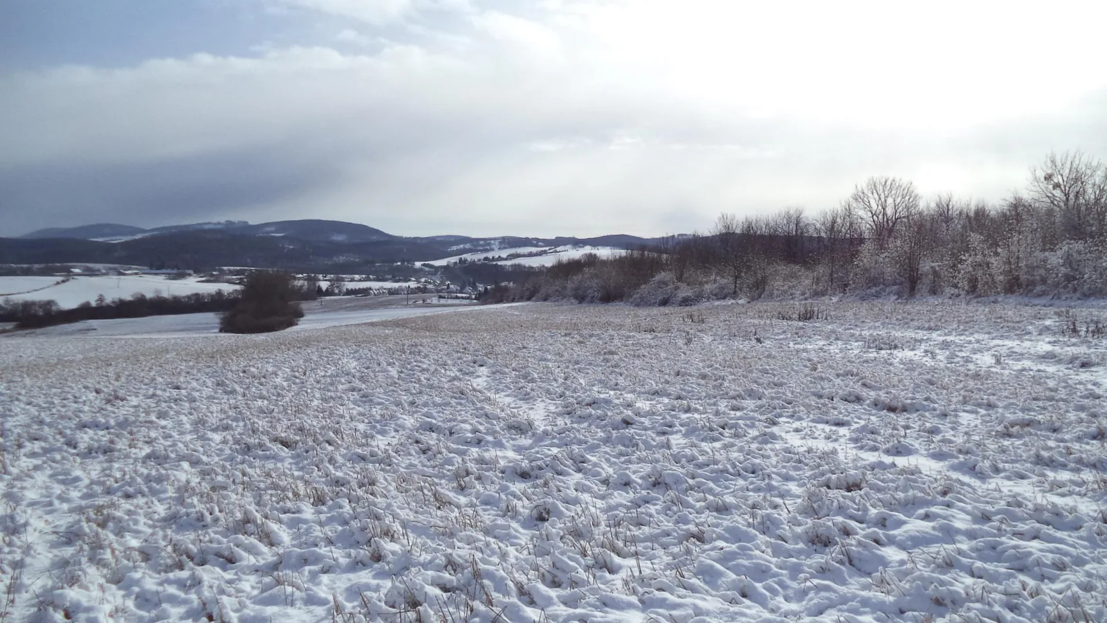 Téli Bakony, Fotók: Vilmos Weiszgerber 