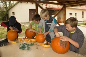 Fotók 1 album: Babai Lalinda