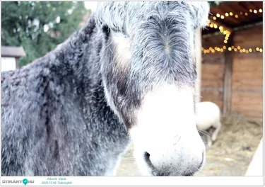 Adventi Vásár Bakonybélben