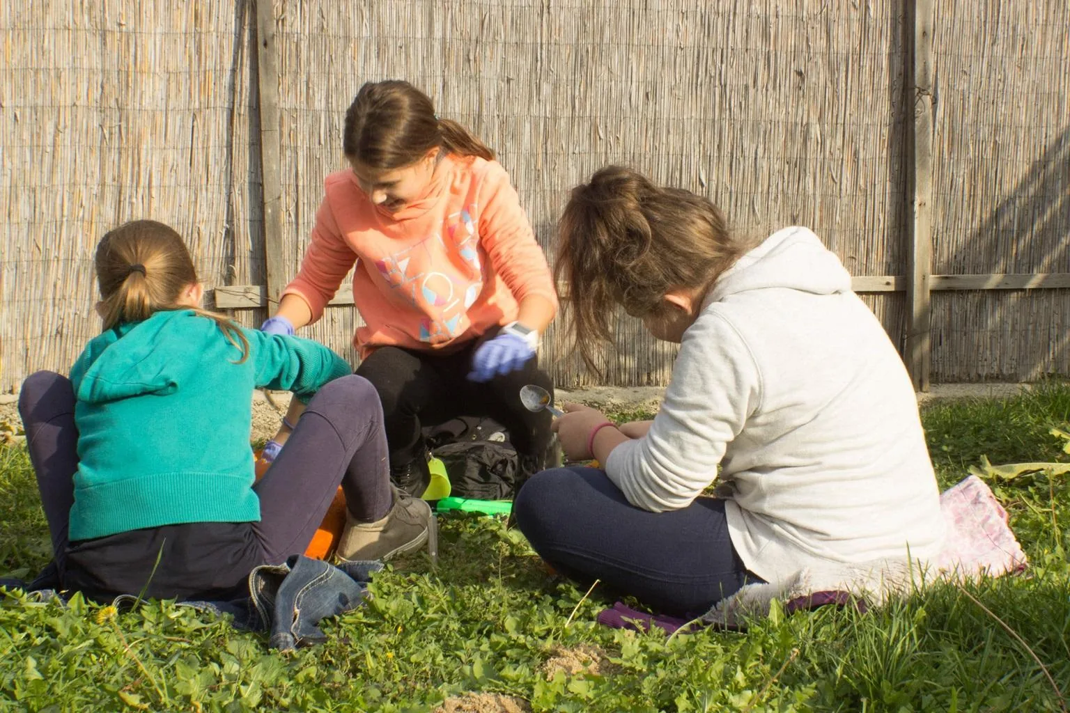 Tökfesztivál 2018. Képek: Babai Lalinda