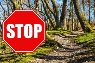 Erdőlátogatási korlátozás! borítóképe