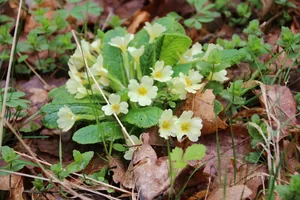 Fotók és kisfilm: Útirány.hu