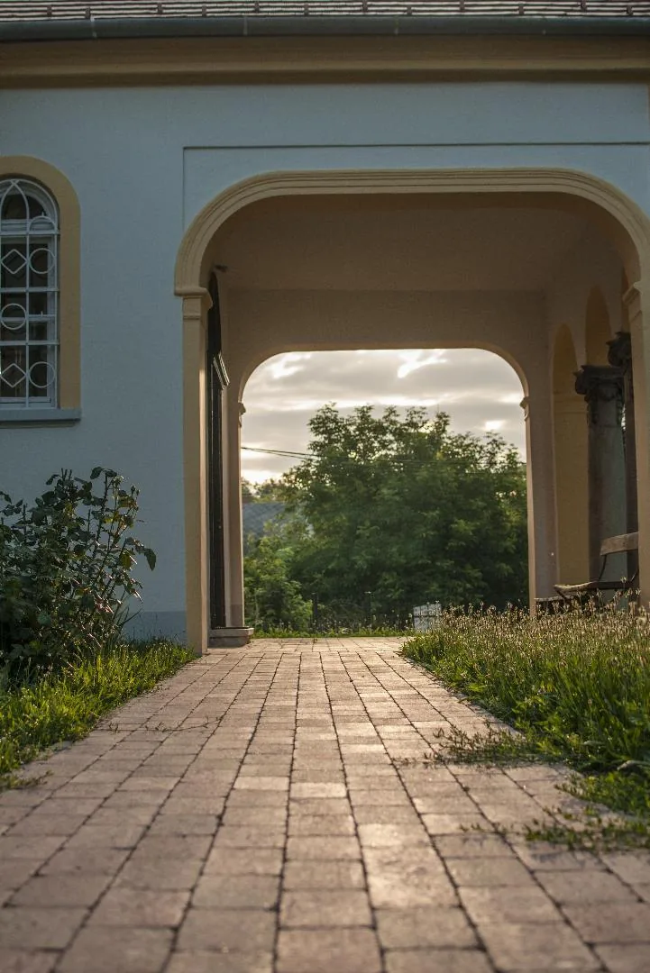 Fotó: Pesty Márton