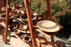 Kora délután, fotók: BakonyiHírek