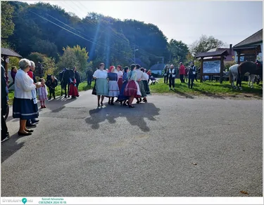 Szüreti felvonulás és Bál