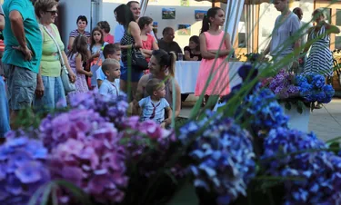 15. Porvai Falunap 2016