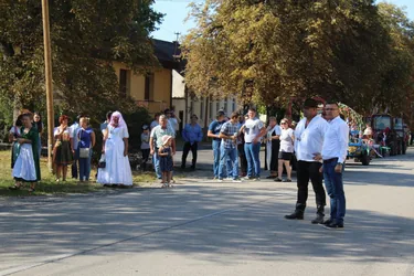 Szüreti felvonulás és utcabál