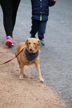 Fotók és kisfilm: Útirány.hu