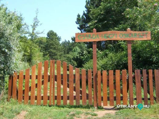 'Csárda-hegyi őskarszt' cikk borítóképe
