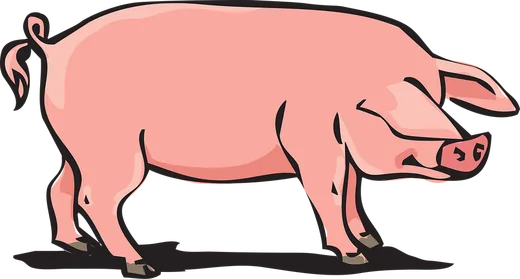 'Hagyományos Disznótor' cikk borítóképe