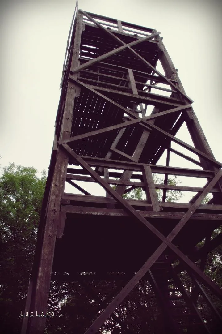 Kőrishegyi kilátó, Fotó: LuiLand