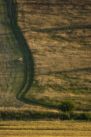 Fotó: Pesty Márton