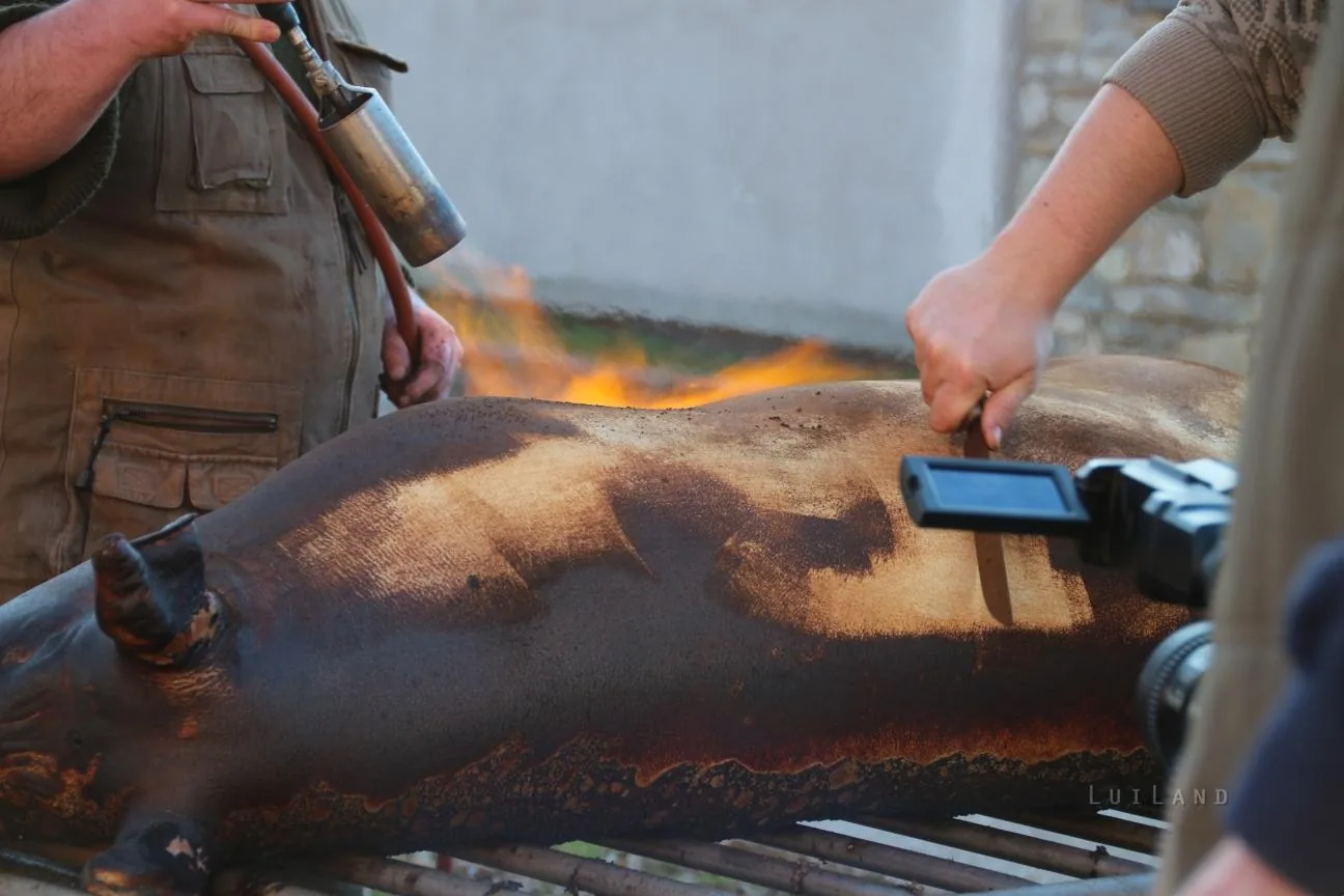 Fotók: Útirány.hu