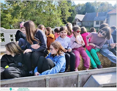 Szüreti felvonulás és Bál