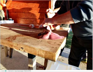 Fotók, Útirány.hu