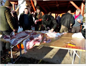 Fotók, Útirány.hu