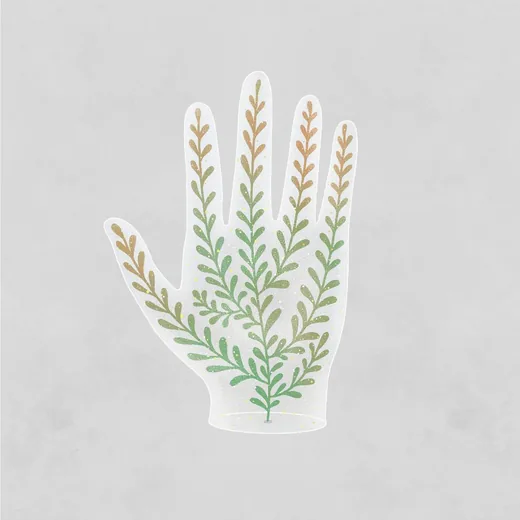 'Kézelemzés Előadás' cikk borítóképe