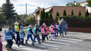 Autómentes nap Veszprémben borítóképe