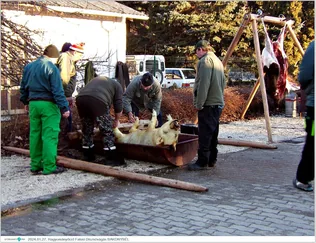 IX. Bakonybéli Hagyományőrző Falusi Disznóvágás borítóképe