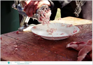 Fotók, Útirány.hu